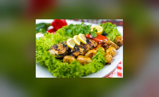 Gegrillter Fisch mit Zitrone auf einem Salatbett